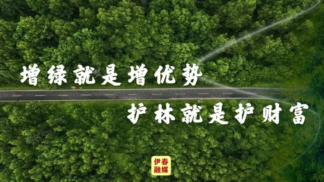 【文化旅游】全域暖心“宠客”  汤旺县以优质服务擦亮森林文旅名片