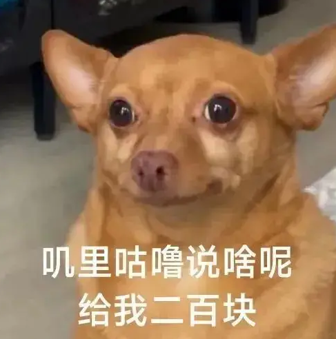 长鑫上市，有人一夜暴富，有人拍断大腿。