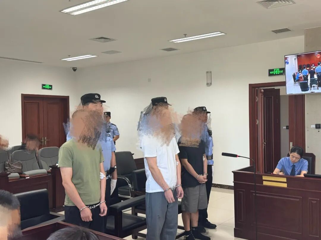 帮“幽灵外卖”违规上线！三人用修图软件批量伪造电子证照被公诉