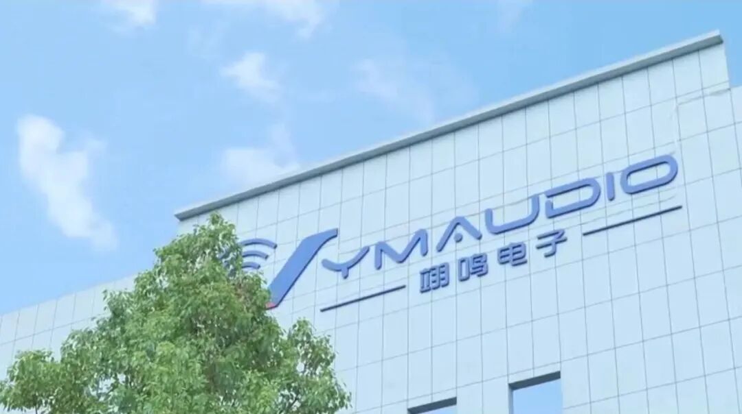 返乡不到3个月投产，鄂城这家“小巨人”企业“声”动全球