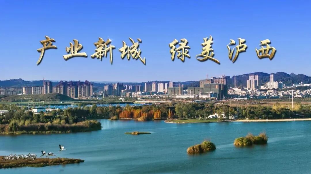 山海情深三十载 沪滇协作启新程