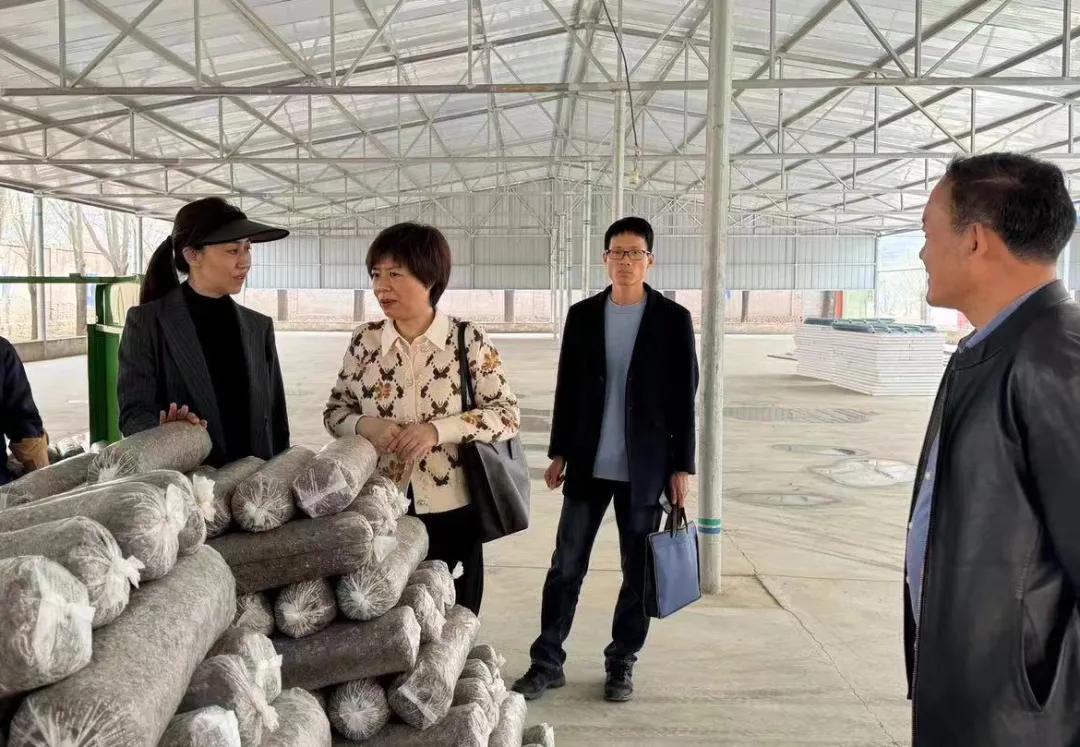闽宁协作 山海情长 | 山海情长绽芳华——记第十三批福建援宁挂职干部刘雪芬