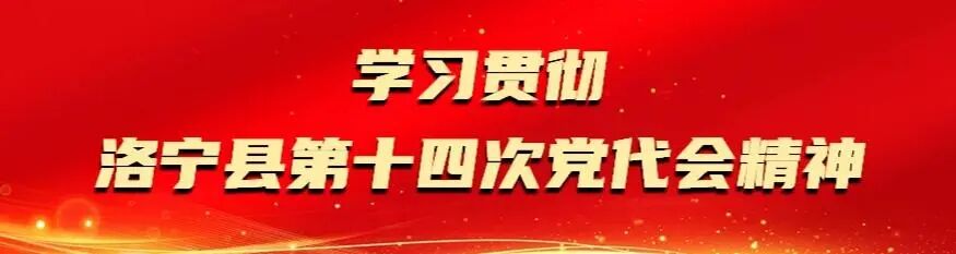 洛宁县开展2026年“八一”慰问暨“军事日”活动