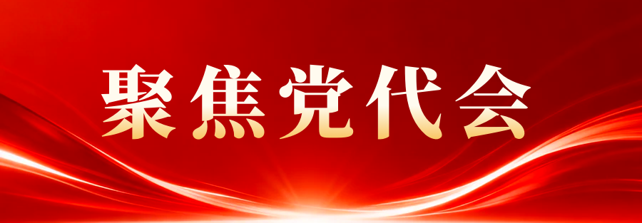 一图读懂党代会报告