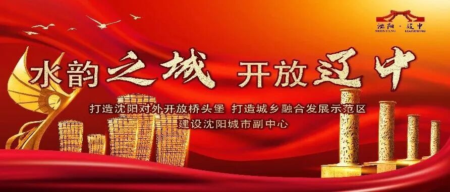 【“两优一先”风采录】张家辉：深耕乡土担使命 实干笃行兴乡村