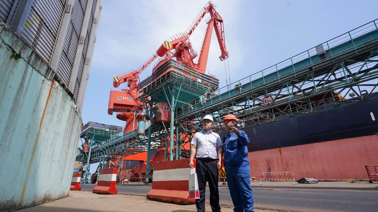 山海织青绿 金融赋新能：中国银行青岛市分行助力城市低碳转型焕新颜
