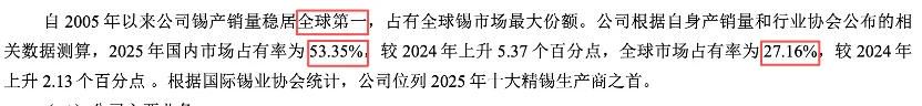 ��Դ����ҵ�ɷ�2025���걨