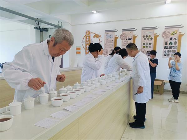 黄山谭家桥镇斩获太平魁红斗茶大赛五项大奖 黄山谭家桥镇斩获太平魁红斗茶大赛五项大奖