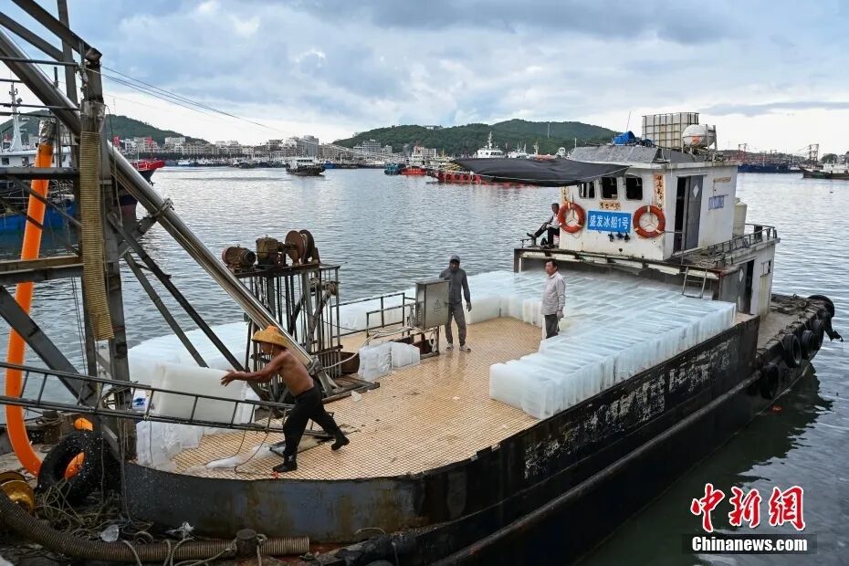 南海開漁前夕，廣東陽江閘坡國家級中心漁港內，冰船船員搬運冰塊。(資料圖)中新社記者 陳驥旻 攝