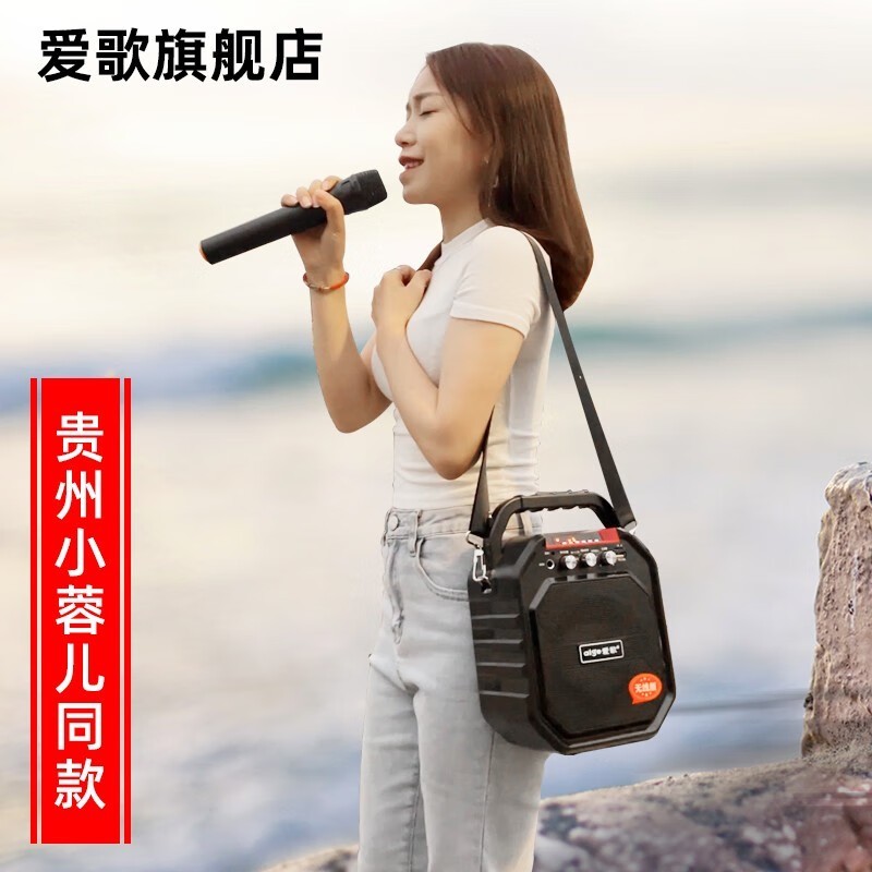 爱歌贵州小蓉儿S28音箱，到手价304元