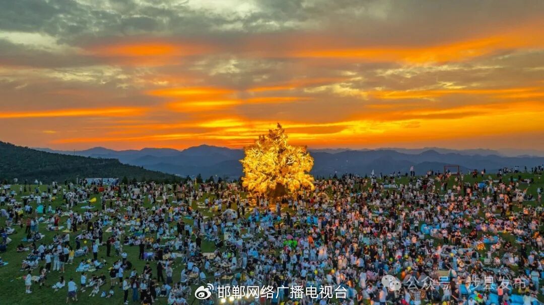 稻田画+隔空飙歌!这个夏天,涉县把文旅玩出不一样的花样 稻田画+隔空飙歌!这个夏天,涉县把文旅玩出不一样的花样