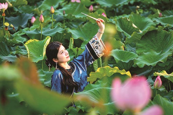 荷间拾夏，蓝衫女子执扇悠然感受夏日荷韵
