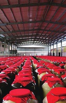 中国银行普惠金融“活水”浇灌千企万户