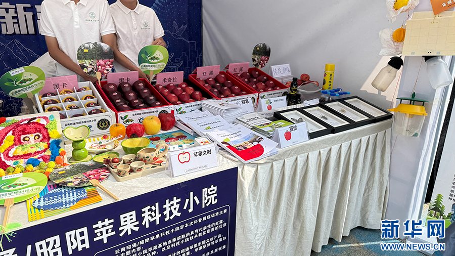 科普文创“圈粉” 2026年全国科普月云南省主场活动“科普市集”人气旺