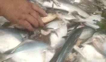 齐鲁车展硬核技术现场实测，低温闪充、智驾不再是纸面参数，买新能源一定要来现场体验