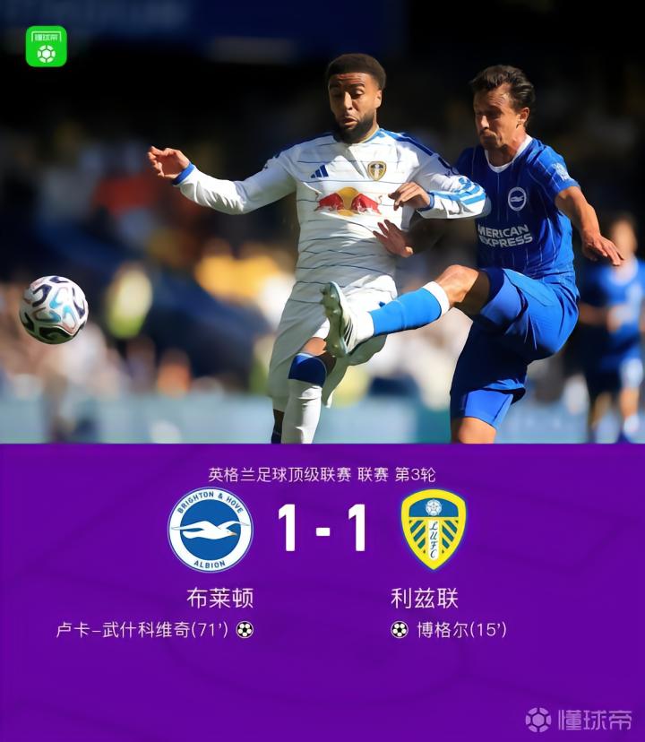 英超：布莱顿1-1利兹联，博格尔破门，武什科维奇扳平，田中碧助攻
