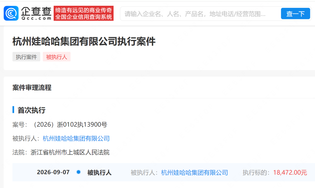 娃哈哈集团成被执行人