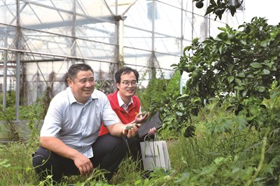 金融活水润沃野 乡村振兴添动能 金融活水润沃野 乡村振兴添动能