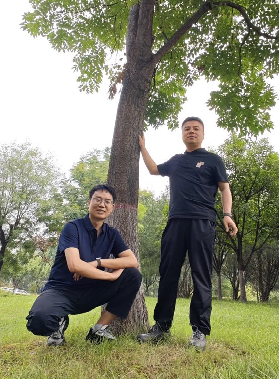 成长路上的那棵树 成长路上的那棵树