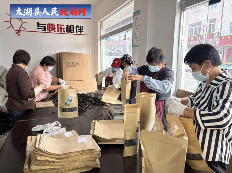 小木耳大产业!刘畈村集体木耳产销两旺,助力集体经济增收 小木耳大产业!刘畈村集体木耳产销两旺,助力集体经济增收