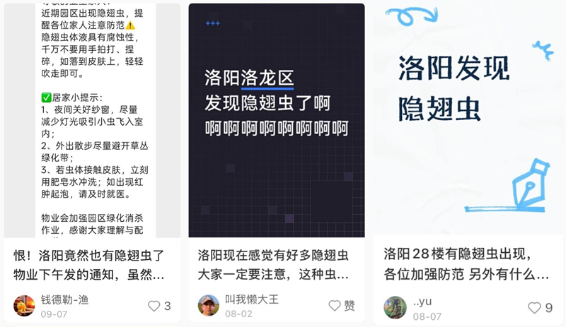 洛阳多地出现这种小虫！千万别拍，毒液堪比硫酸……伊川人注意了
