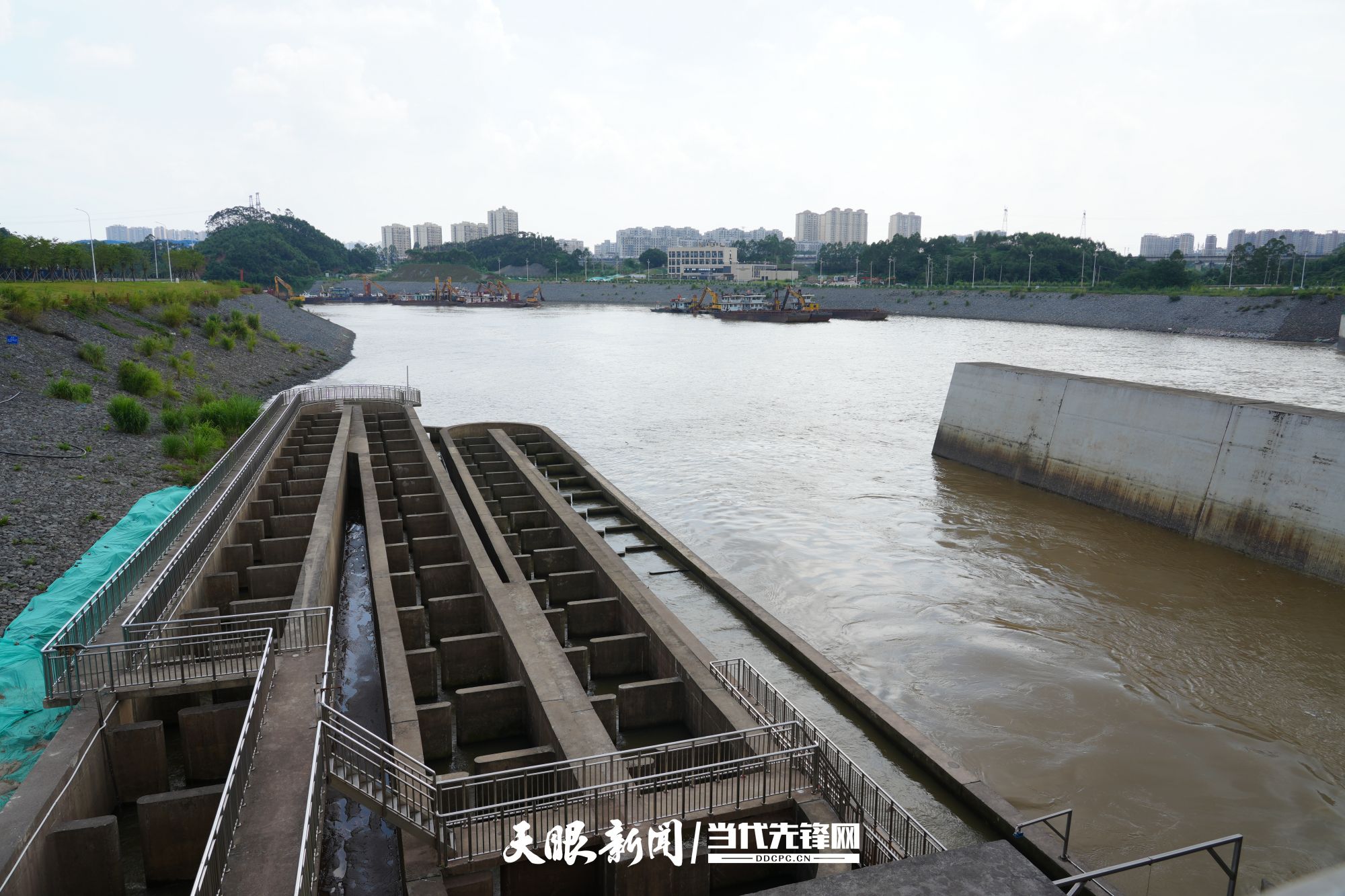 何以中国·运河之光|平陆运河青年枢纽为鱼儿修“回家路”,480米智慧鱼道守护江海生机 何以中国·运河之光|平陆运河青年枢纽为鱼儿修“回家路”,480米智慧鱼道守护江海生机