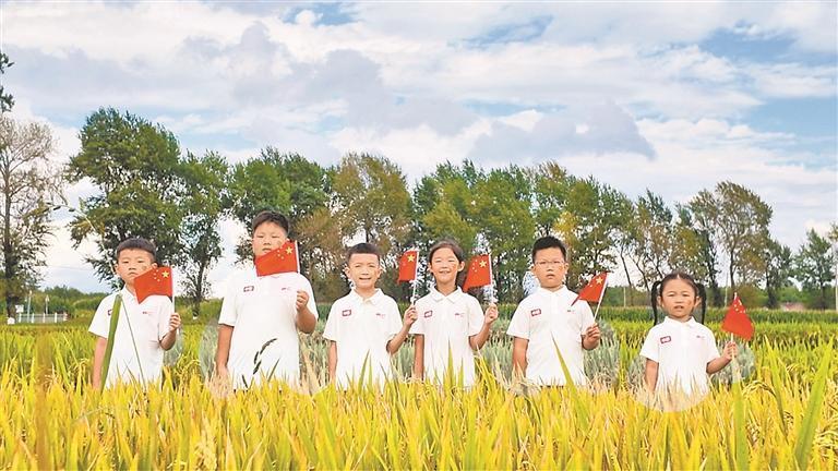 延寿 稻田里识农耕庆丰收 延寿 稻田里识农耕庆丰收