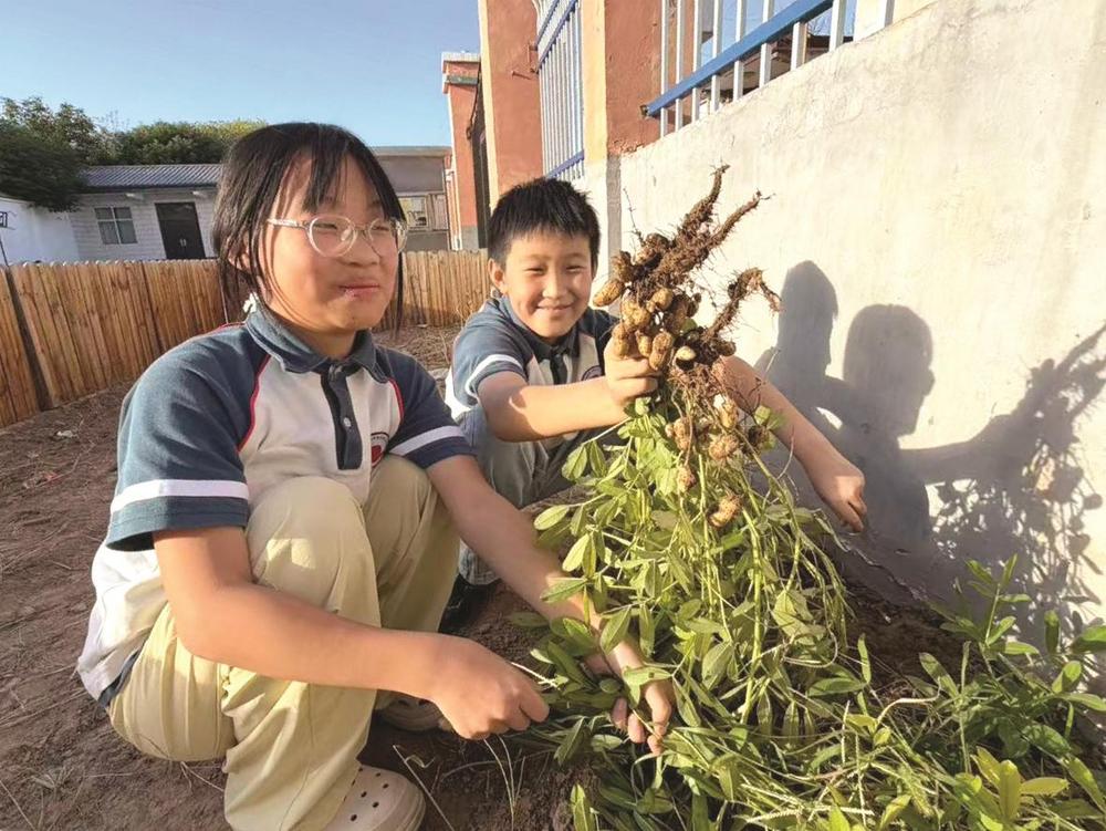 南沿村总校田堡小学开展劳动实践活动 南沿村总校田堡小学开展劳动实践活动