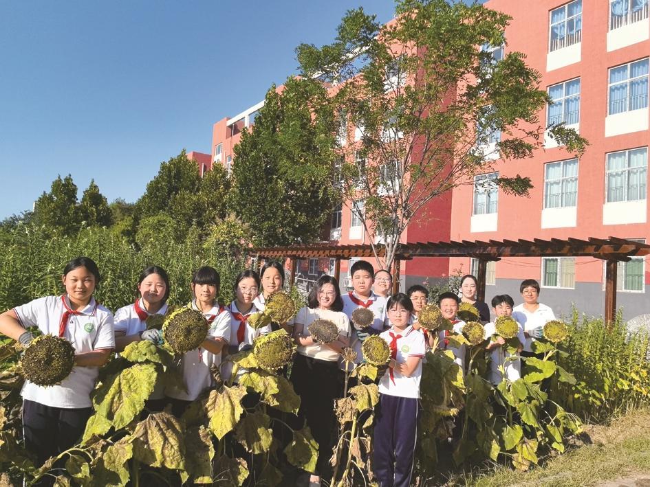 向日葵熟了,孩子笑了 向日葵熟了,孩子笑了