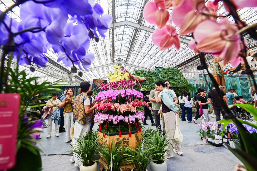 山东青州:花博会人气旺 山东青州:花博会人气旺