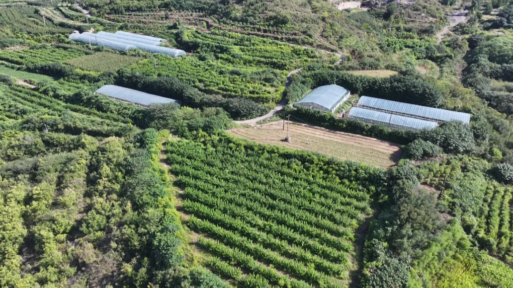 【全面建设现代化产业强区 京津冀文旅名城】白鹿农庄：深耕农文旅融合 打造乡村休闲度假综合体