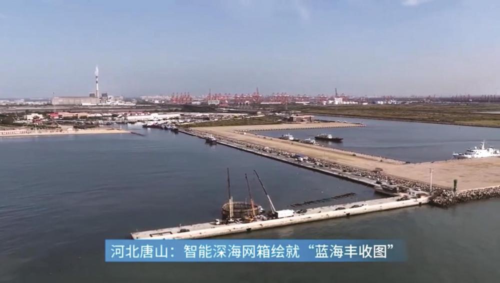 科技引领加快构建现代化产业体系 因地制宜建设宜居宜业和美乡村 科技引领加快构建现代化产业体系 因地制宜建设宜居宜业和美乡村