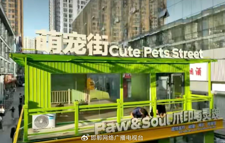 丛台区新华街萌宠街开启试运行 丛台区新华街萌宠街开启试运行