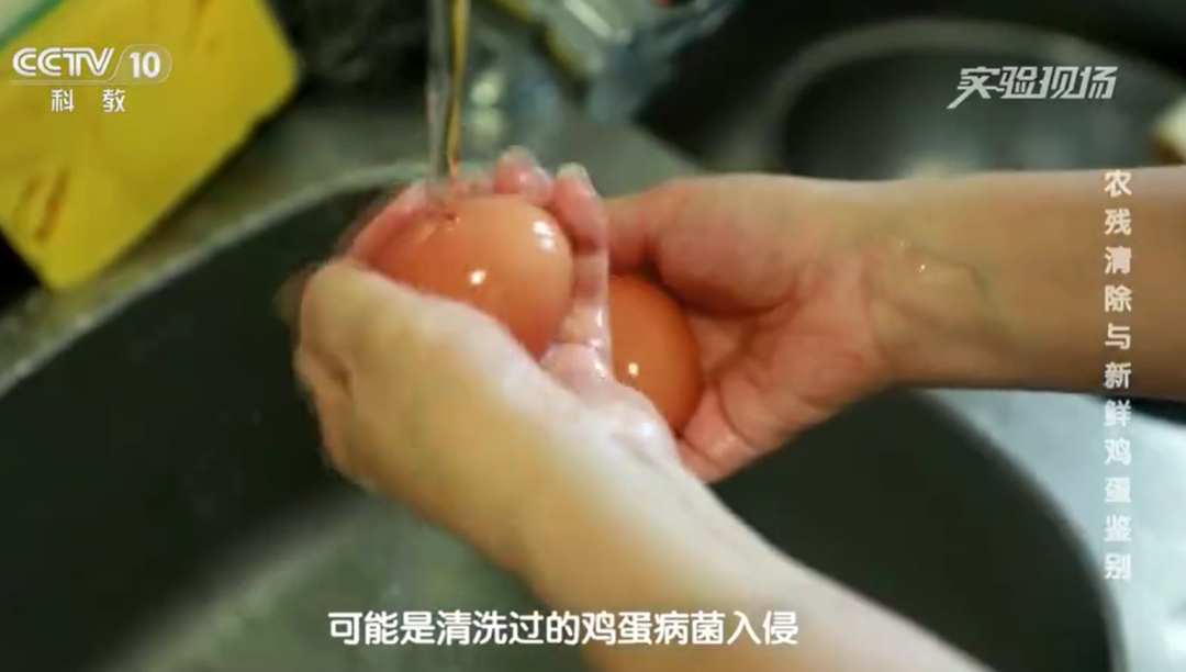 一家三口吃水洗鸡蛋后集体中毒 专家提醒