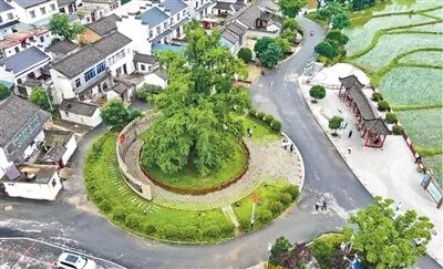《人民日报》报道信阳