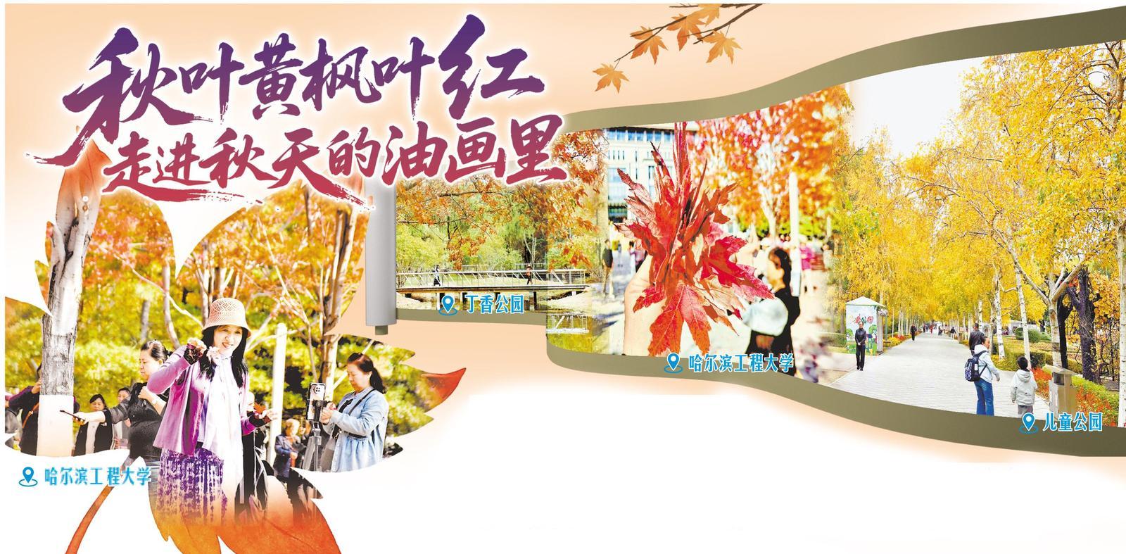 秋叶黄枫叶红 走进秋天的油画里 秋叶黄枫叶红 走进秋天的油画里