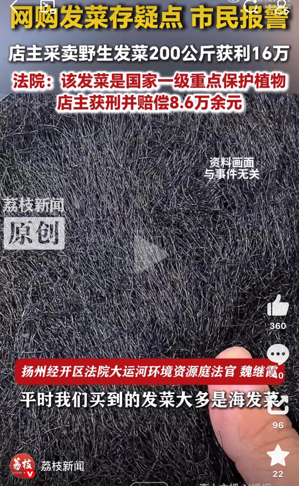 火遍全网的发菜到底是什么“菜”?有店主因采卖获刑 火遍全网的发菜到底是什么“菜”?有店主因采卖获刑
