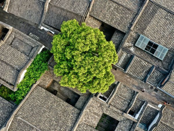 在发展中留住记忆,在更新中延续文脉 在发展中留住记忆,在更新中延续文脉