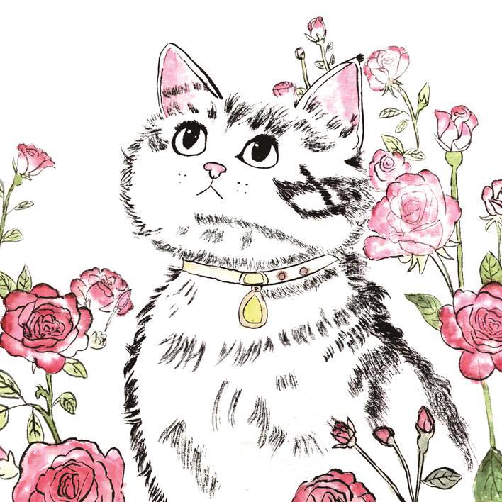 《玫瑰小猫咪》 南湖区大桥镇中心小学506班 《玫瑰小猫咪》 南湖区大桥镇中心小学506班
