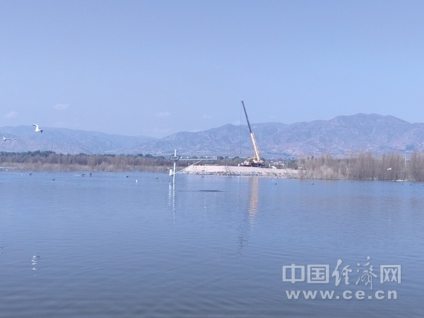“新”中有你|“红色的山口”擦亮绿色发展的底色 “新”中有你|“红色的山口”擦亮绿色发展的底色
