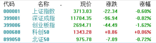 A股收评：创业板指失守2700点，权重股宁德时代跌超12%，猪肉概念表现活跃
