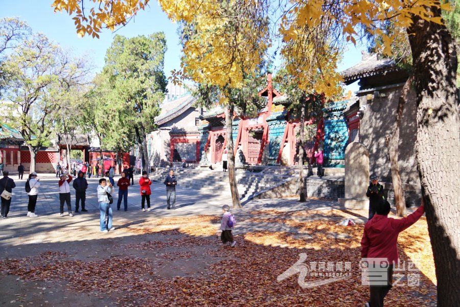 白蜡叶黄醉游人 文庙古院赏秋忙（图）