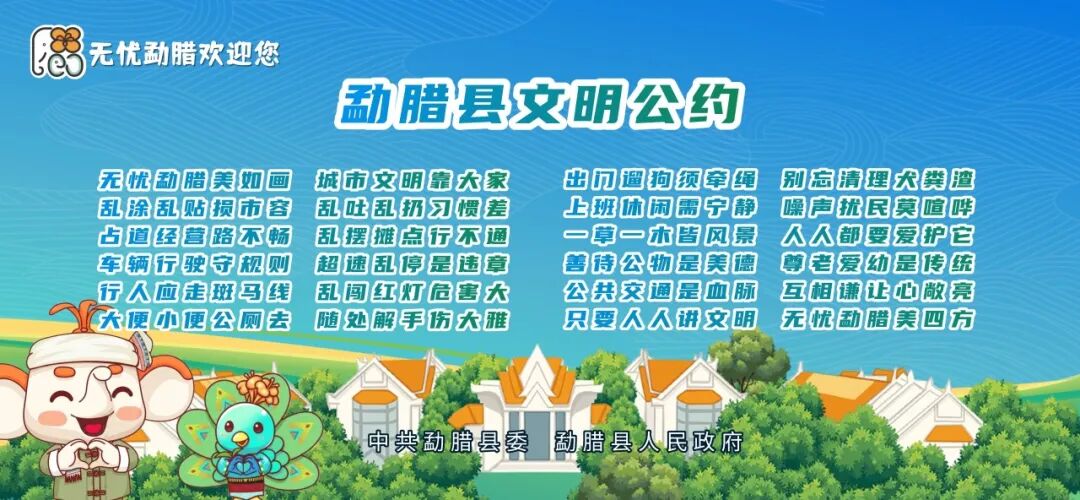 早上好！无忧勐腊欢迎您 | 上古茶山：漫步古茶山，把古树茶香吃进碗里
