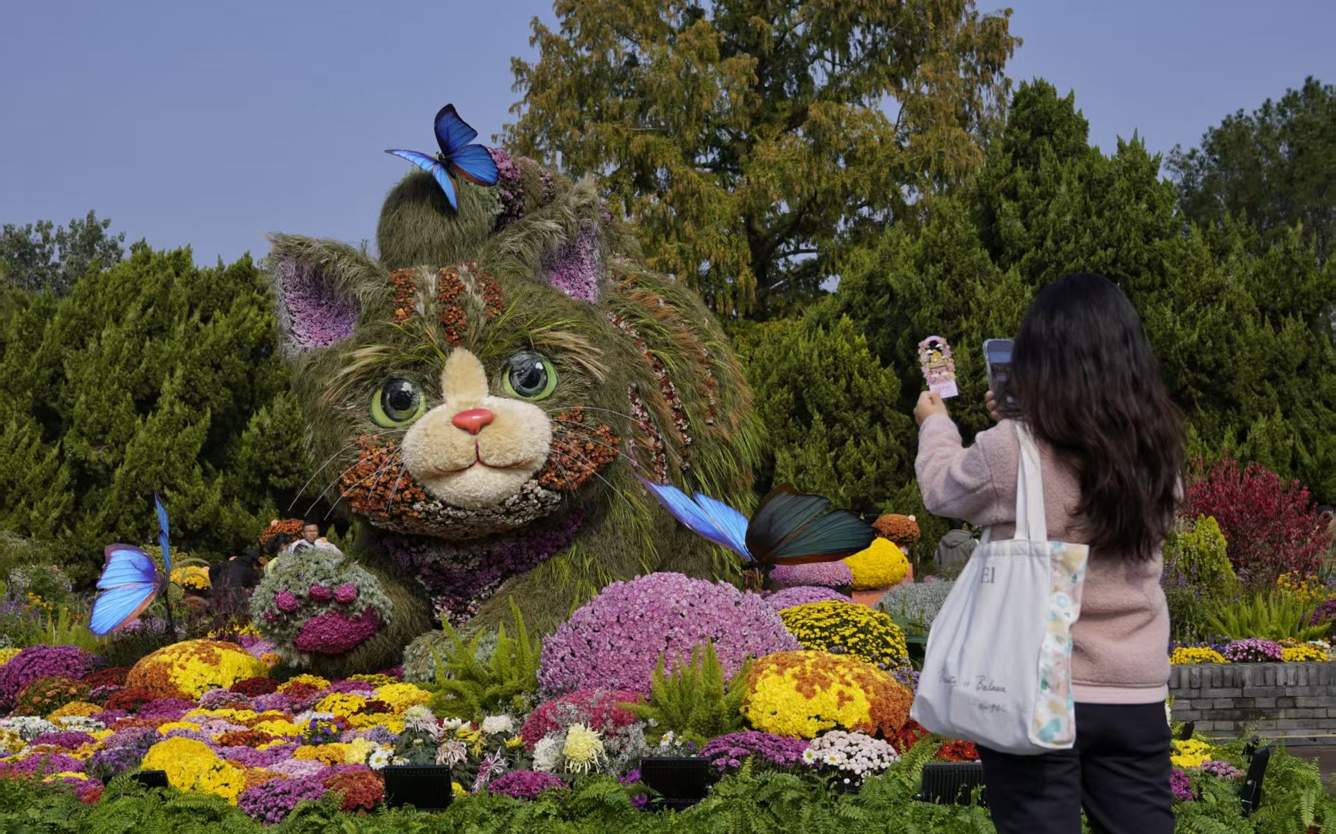 北京市菊花展亮相北海公园 北京市菊花展亮相北海公园