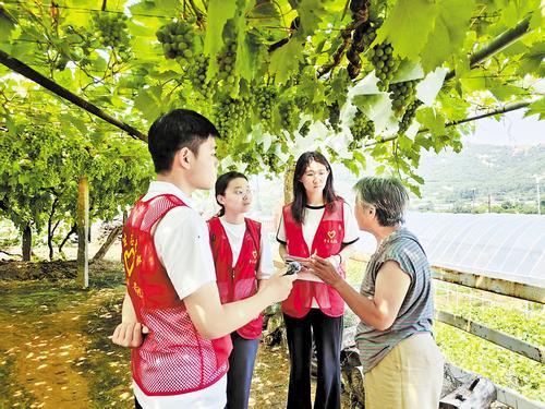 脚步向基层 青春常在乡 脚步向基层 青春常在乡