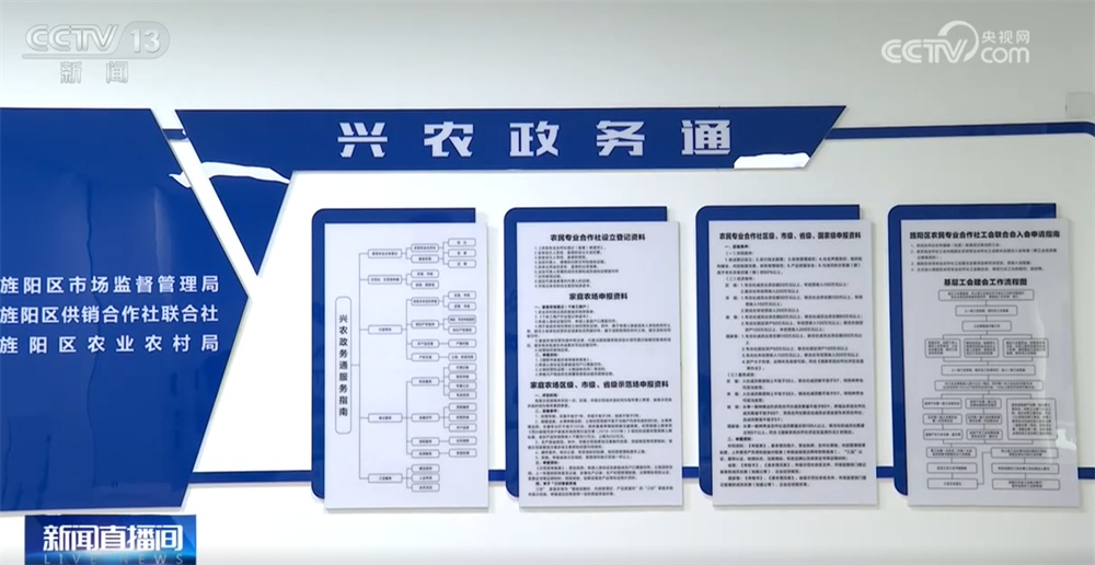 民生一件事|综合服务平台让新型农业经营主体办事从“多头跑”变为“一站办” 民生一件事|综合服务平台让新型农业经营主体办事从“多头跑”变为“一站办”