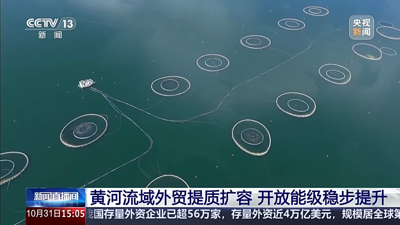 视频丨累计进出口35.53万亿元！黄河流域外贸五年“成绩单”亮眼