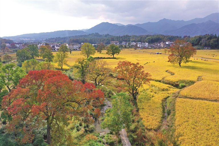 塔川秋色渐浓