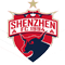 深圳队