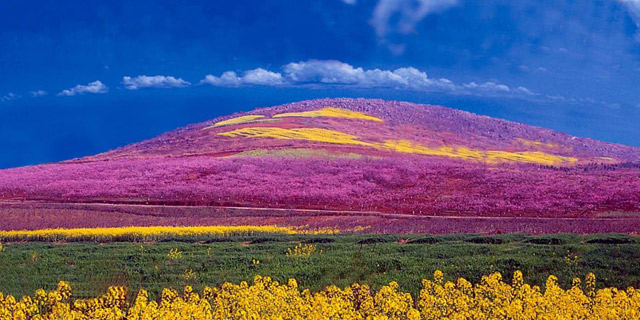 跟着马拉松跑荆门